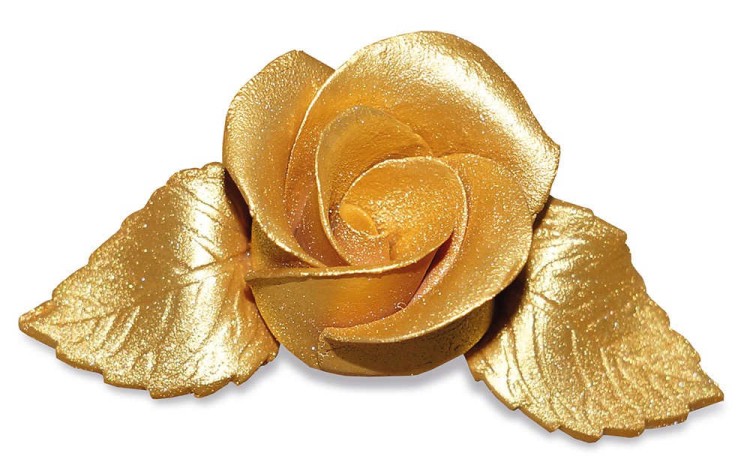 spray_GOLD_roza pomalowana barwnikiem w sprayu.jpg