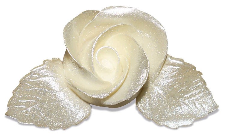 spray_PEARL_roza pomalowana na kolor perlowy.jpg