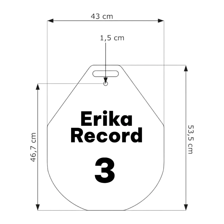 Erika record 3 taca do dzielarki rysunek techniczny.webp