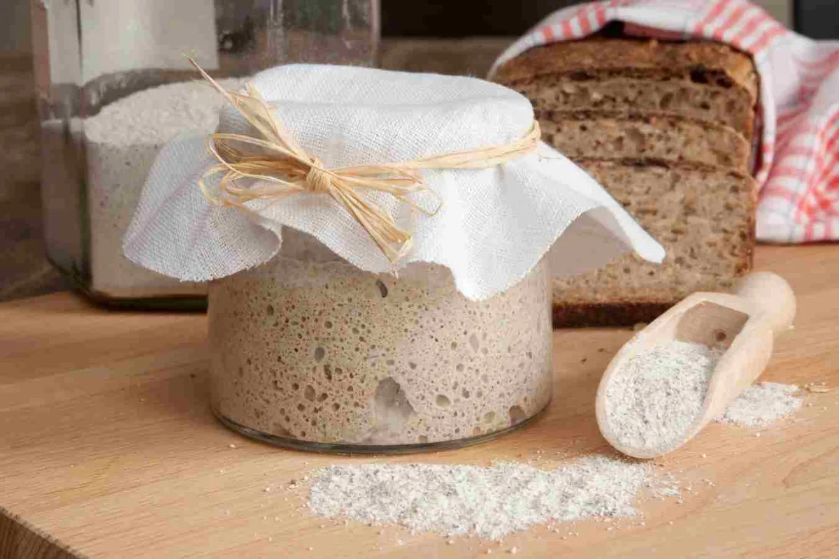 Starter do chleba na zakwasie – ile dodać, jak przechowywać i ożywić